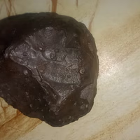 بندر سیف علی ناجی