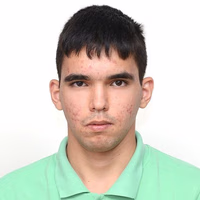 Hamed Amini Far