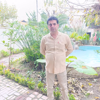 Hamzeh Amini