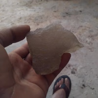 نیزک ثلجی ف