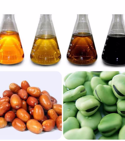 Petroleum Products