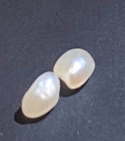 Natural Pearl from the Sea