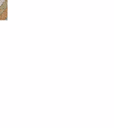ბოსტნეული