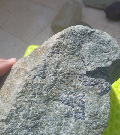 Martian Meteorite