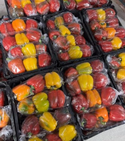 Colored bell pepper