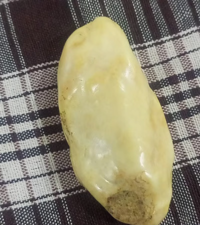 Rare Organic Stone