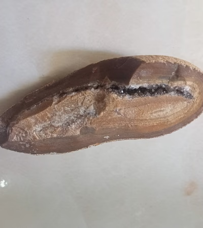 سنگ ها
