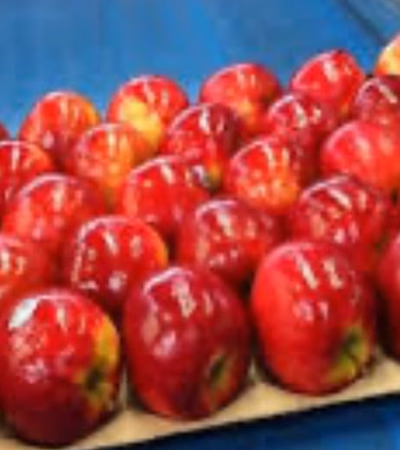 Fruits and Fresh agricultural products
