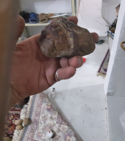 Meteorite with Magnetic Axis