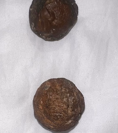 Meteorite Reservation