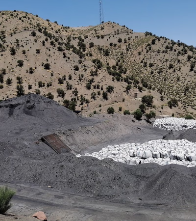 Coal