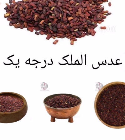 Lentils