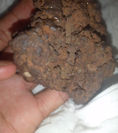 Meteorite Expert
