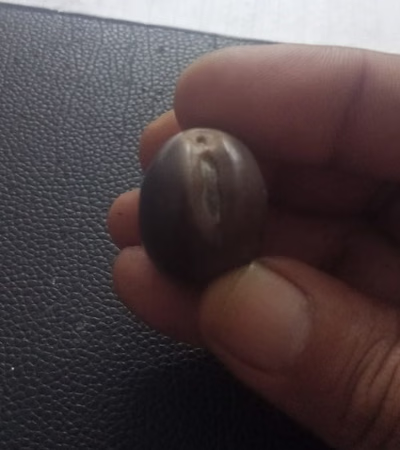 Trader in Precious Stones and Agricultural Products