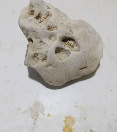Meteor