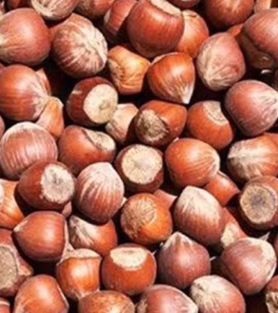 Pistachio hazelnut, construction materials