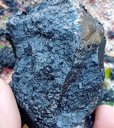 Meteorite
