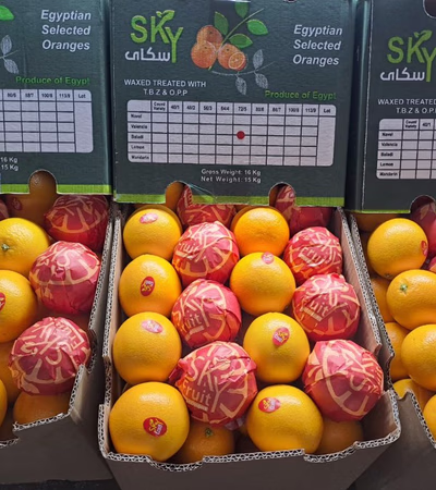 Fruit