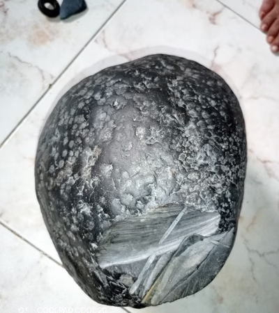 Lunar Meteorite