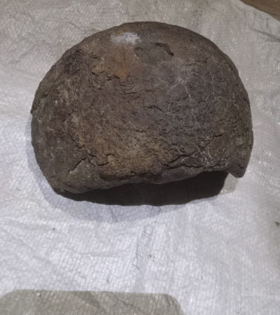 Meteorite