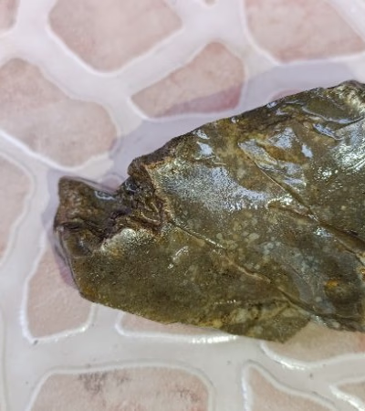 Chocolate Agate