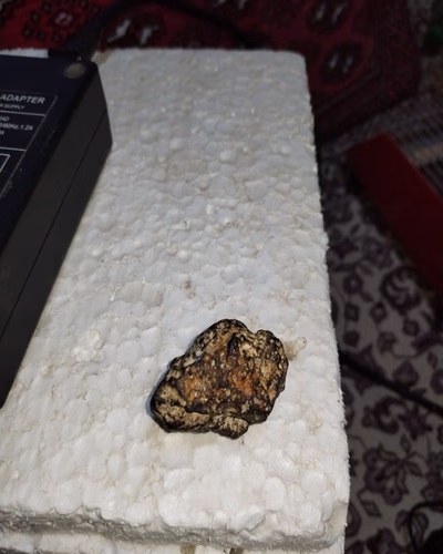 Meteorite