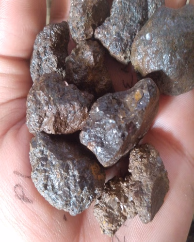 Meteorites