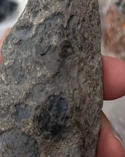 Meteorite Seller