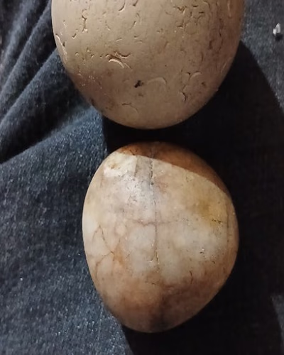Stone