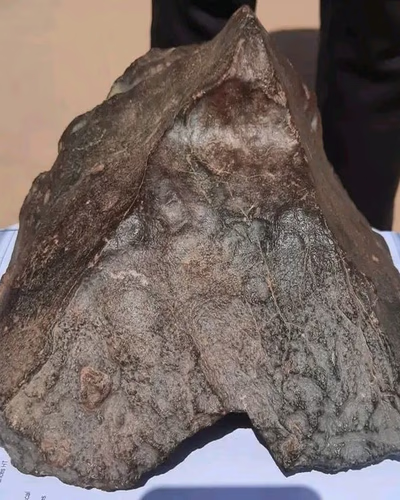 Meteorites