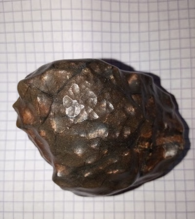 Meteorit