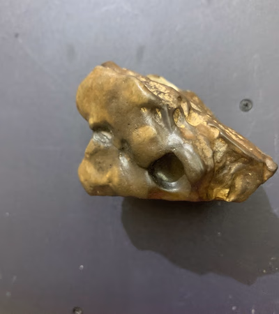 Meteorite