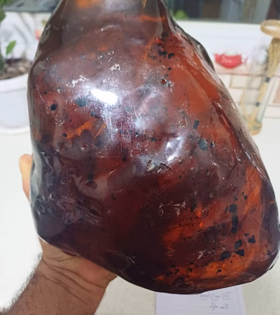 کهربا