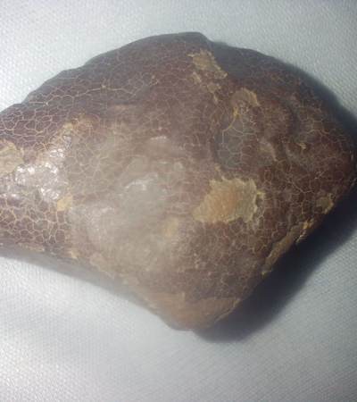 The meteorites
