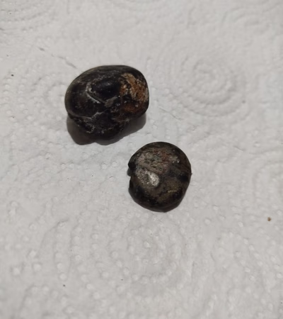 Old Coins and Meteorite Stones