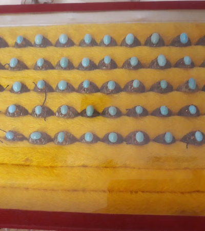 Original Nishabur Turquoise