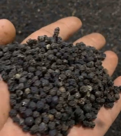 Peppercorn, black pepper, TMT rebar, cement, cloves.