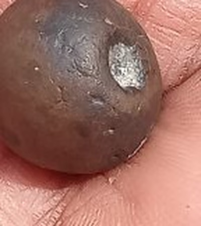 Priceless Meteorite