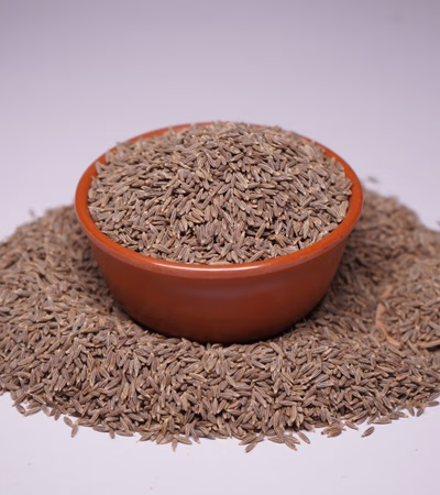 Spices, Oil seed, Grains Exporter