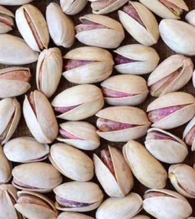 جوادعلیزاده