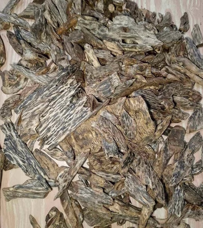 عطر چوب آگار وحشی فیلیپینی