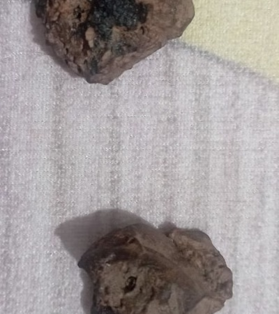 ՄԵՏԵՈՐԻՏՆԵՐ
