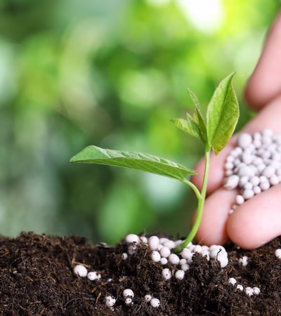 Chemical fertilizer