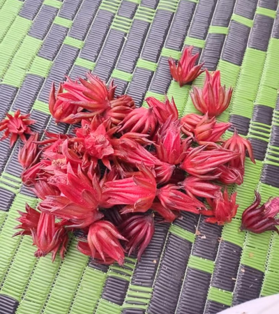 կրկդի