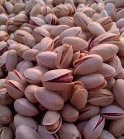 فندق، پستہ
