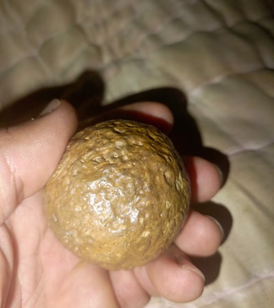 Meteorite Stone