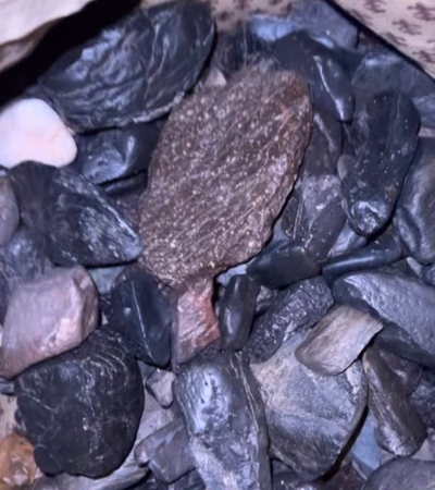 Meteorites